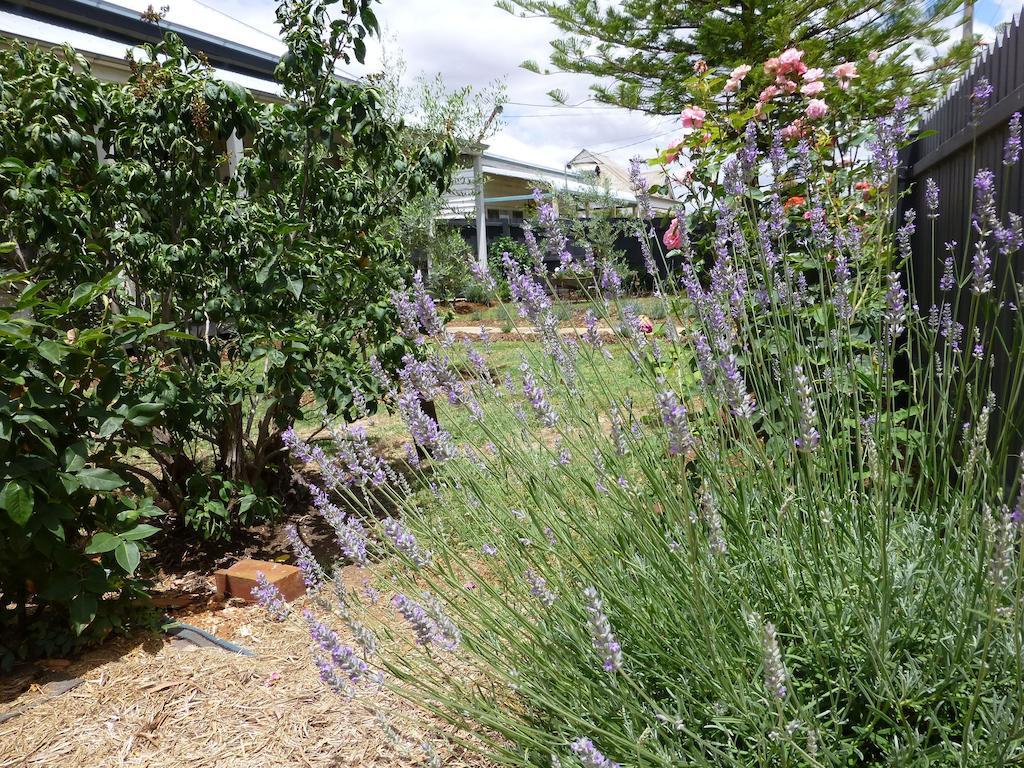La Maison St Arnaud Rutherglen Exterior foto